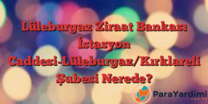 Lüleburgaz Ziraat Bankası İstasyon Caddesi-Lüleburgaz/Kırklareli Şubesi Nerede?