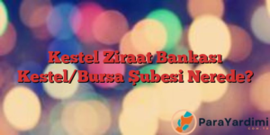 Kestel Ziraat Bankası Kestel/Bursa Şubesi Nerede?
