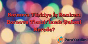 Bornova Türkiye İş Bankası Bornova Ticari/İzmir Şubesi Nerede?
