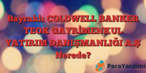 Bayraklı COLDWELL BANKER TEOK GAYRİMENKUL YATIRIM DANIŞMANLIĞI A.Ş Nerede?