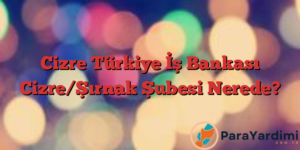 Cizre Türkiye İş Bankası Cizre/Şırnak Şubesi Nerede?