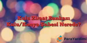 Kulu Ziraat Bankası Kulu/Konya Şubesi Nerede?