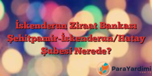 İskenderun Ziraat Bankası Şehitpamir-İskenderun/Hatay Şubesi Nerede?