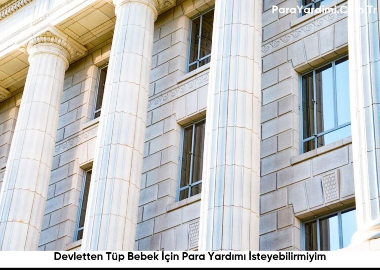 Devletten Tüp Bebek İçin Para Yardımı İsteyebilirmiyim