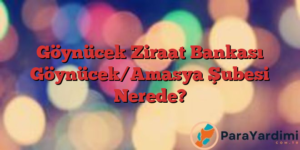 Göynücek Ziraat Bankası Göynücek/Amasya Şubesi Nerede?