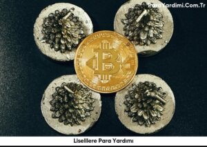 Liselilere Para Yardımı