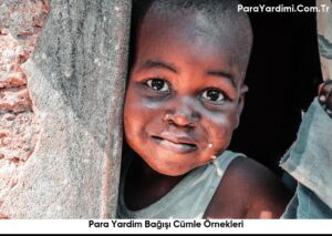 Para Yardim Bağışı Cümle Örnekleri