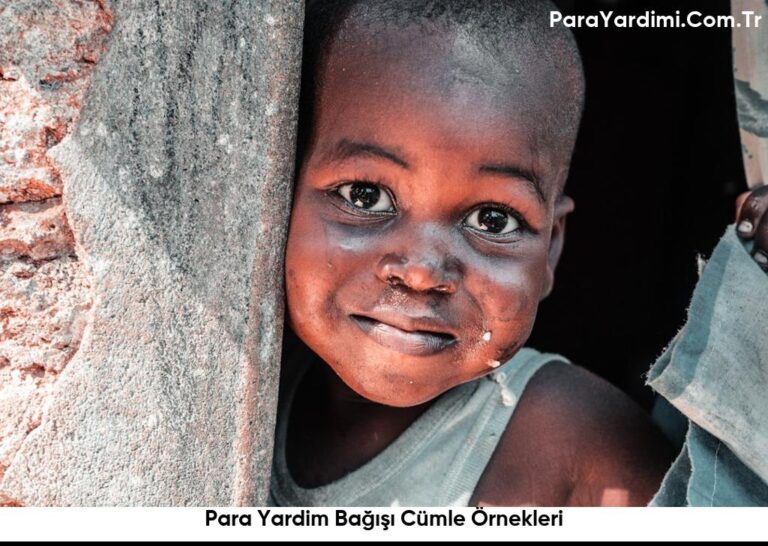 Para Yardim Bağışı Cümle Örnekleri