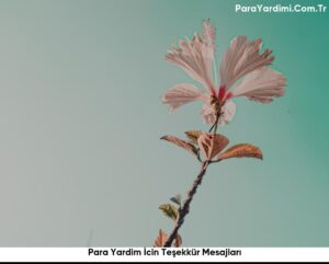 Para Yardim İcin Teşekkür Mesajları