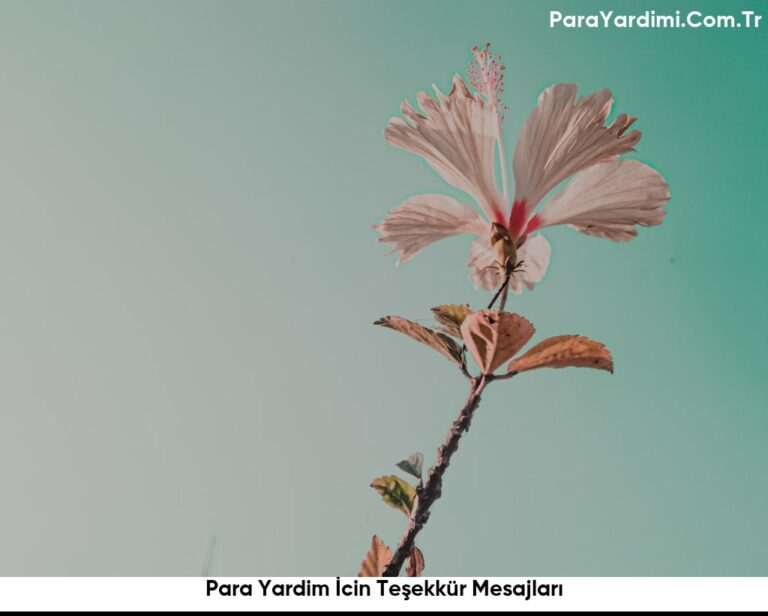 Para Yardim İcin Teşekkür Mesajları