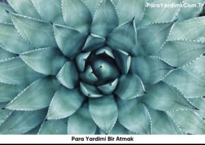 Para Yardimi Bir Atmak