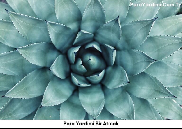 Para Yardimi Bir Atmak