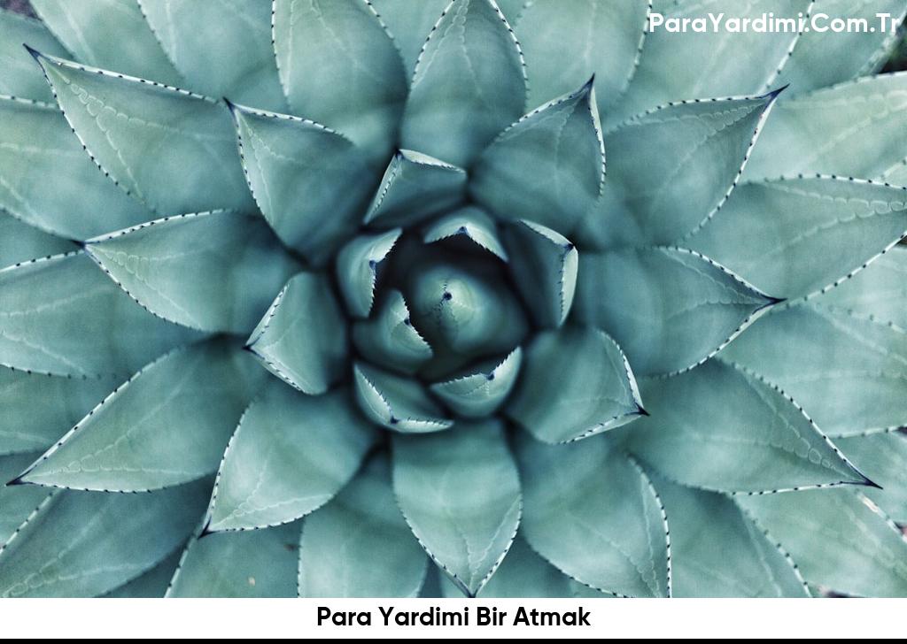 Para Yardimi Bir Atmak